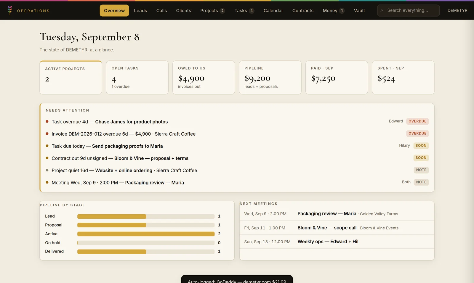 The DEMETYR Backoffice: an overview screen showing active projects, open tasks, money owed, what needs attention today, pipeline by stage and the next meetings.